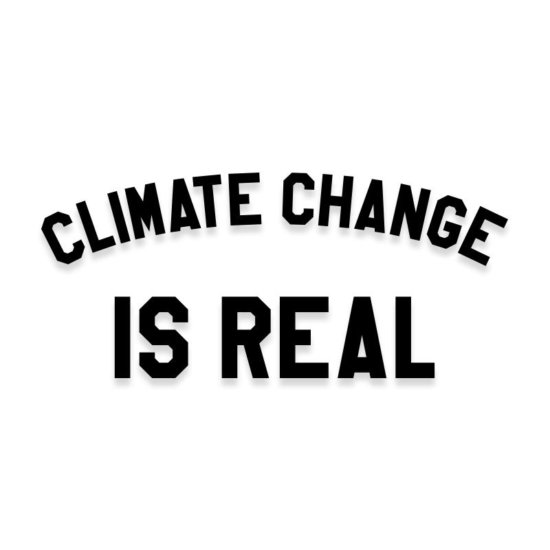 Climate Change is Real Decal Sticker