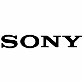 Sony Brand Logo Decal Sticker