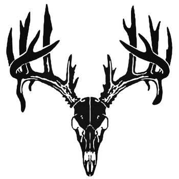 Buck Antlers Skull Logo Sticker Decal