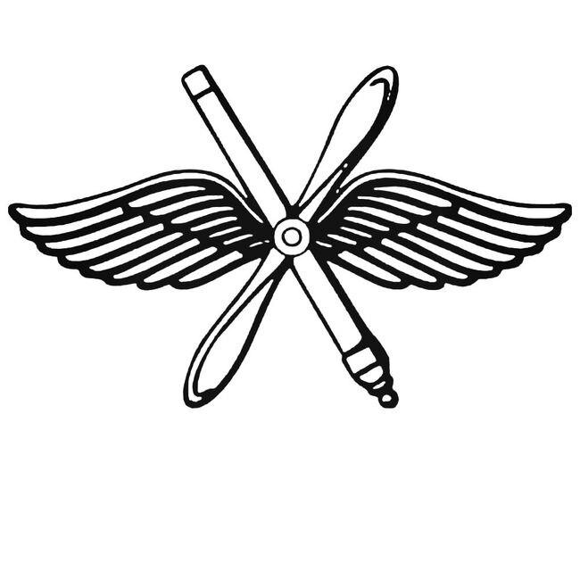 Air Force Wings And Propeller Decal Sticker