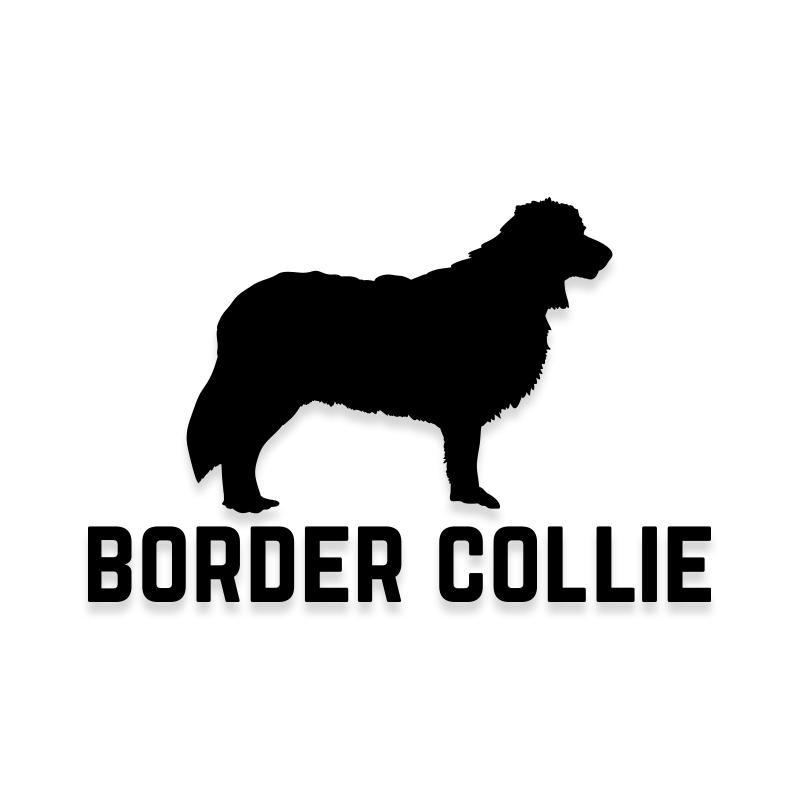 Border Collie Car Decal Dog Sticker for Windows