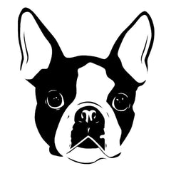 Boston Terrier Face Car Dog Decal Sticker