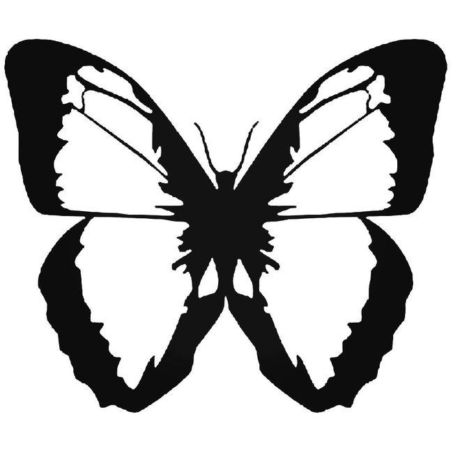 Butterfly Wings Decal Sticker