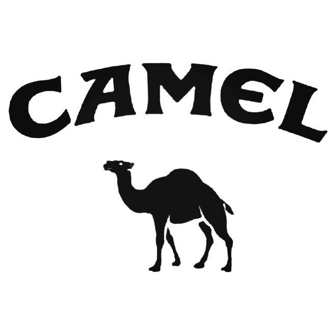 Camel Decal Sticker