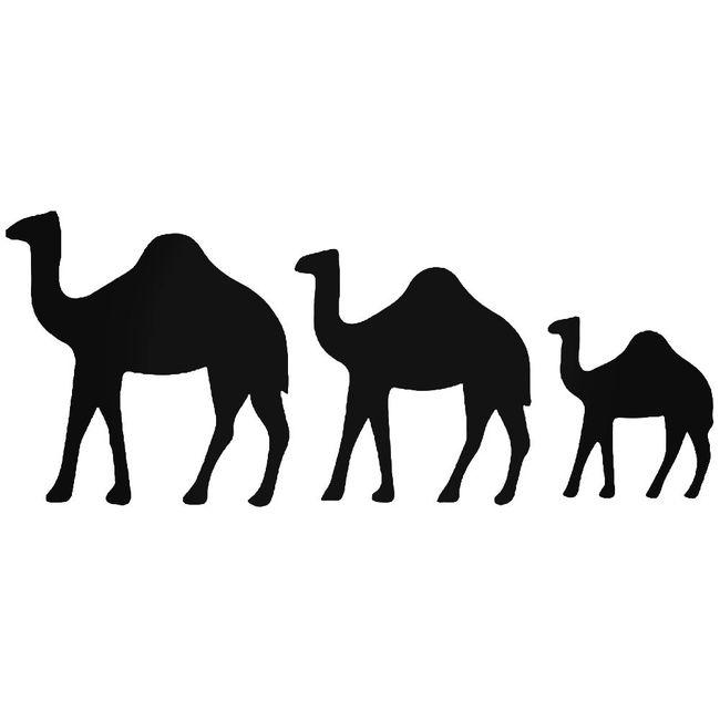 Camel Family Decal Sticker