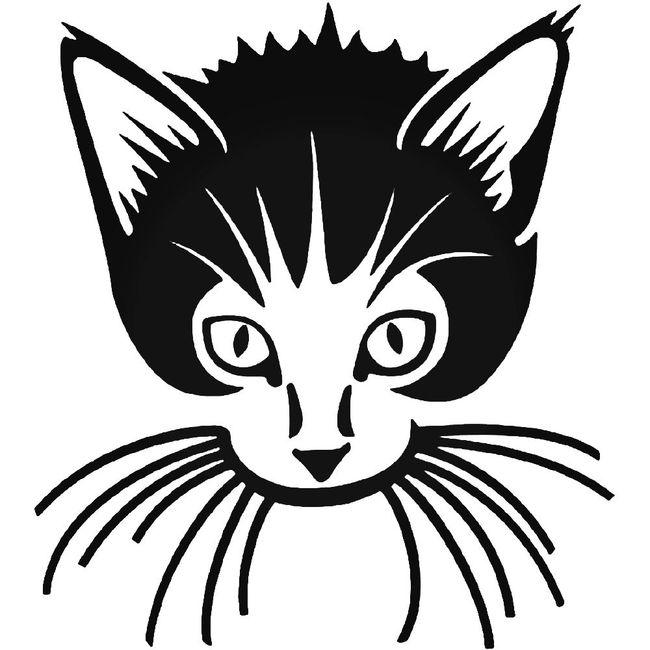 Cat Kitten Pet Decal Sticker