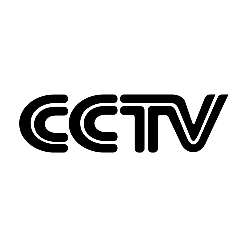 CCTV Sticker Decal