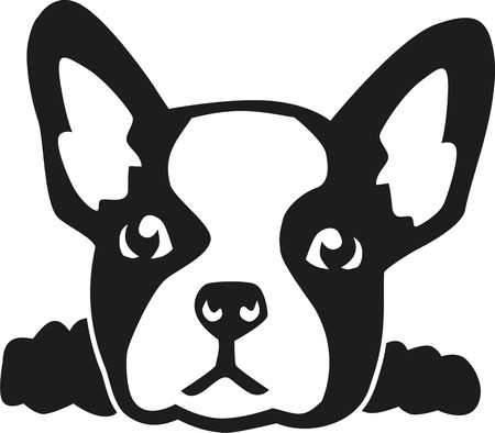 French Bulldog Peeking Car Decal Sticker