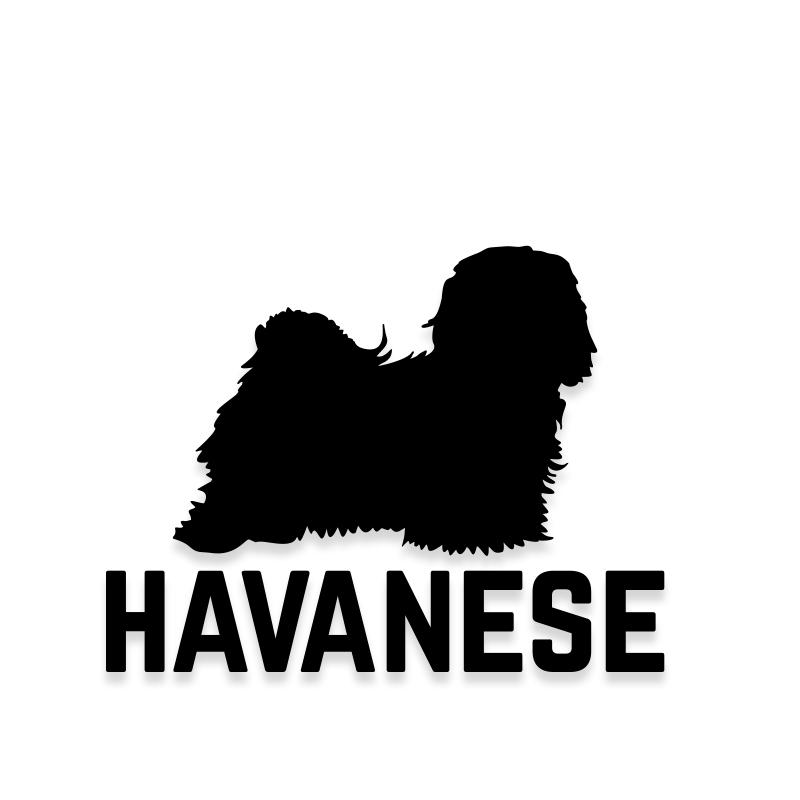 Havanese Car Decal Dog Sticker for Windows