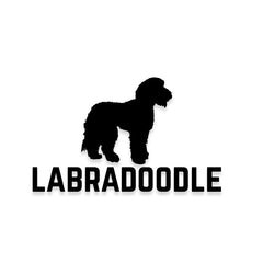 Labradoodle Car Decal Dog Sticker for Windows