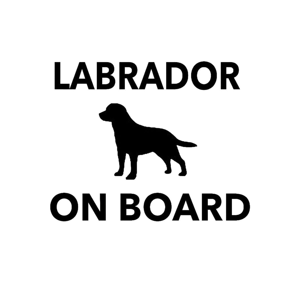Labrador Retriever on Board