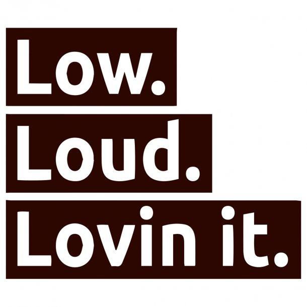 Low Loud Lovin It Decal Sticker