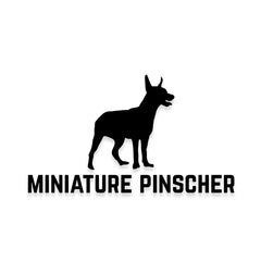Miniature Pinscher Car Decal Dog Sticker for Windows