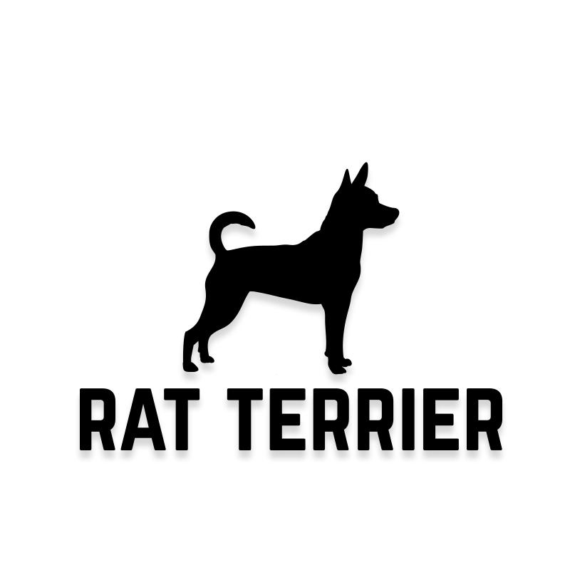 Rat Terrier Car Decal Dog Sticker for Windows