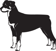 Rottweiler Dog Vinyl Car Decal