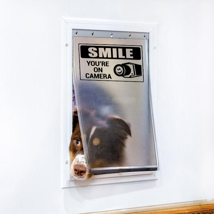 Smile You're on Camera Home Security Surveillance Decal Sticker – Decalfly