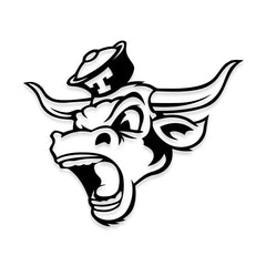 Texas Longhorns Decal Stickers